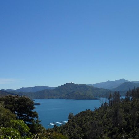 Sequoia Lodge Backpackers Picton Esterno foto