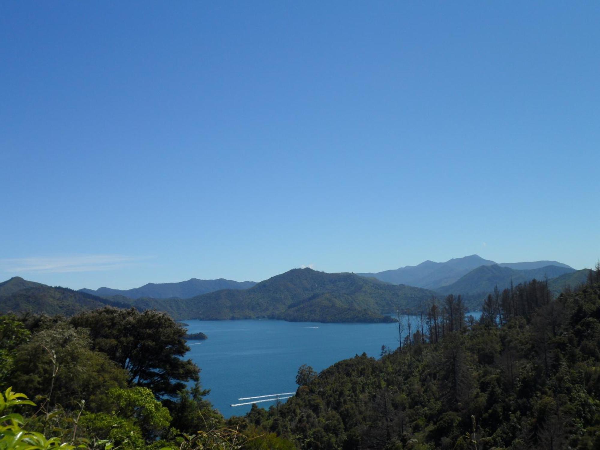 Sequoia Lodge Backpackers Picton Esterno foto